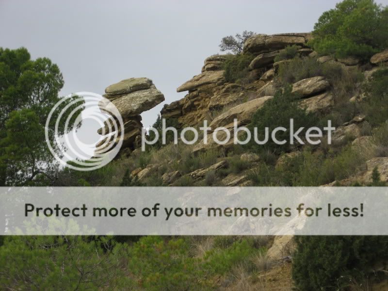 Photo Sharing and Video Hosting at Photobucket