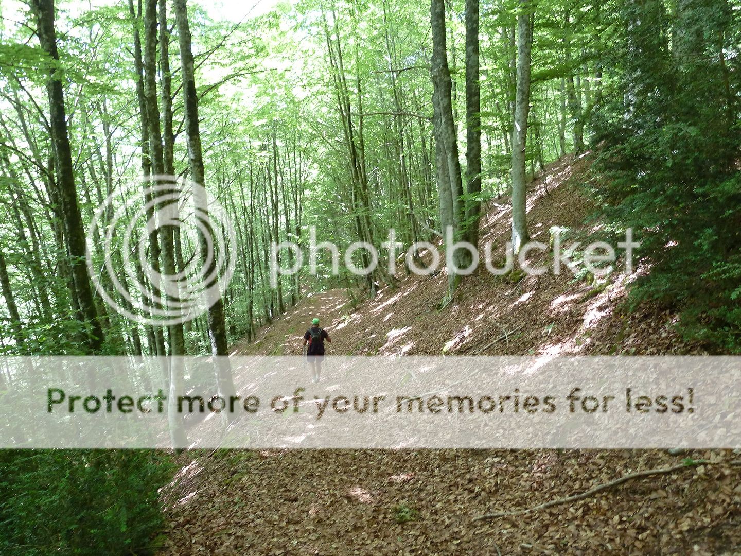 Photo Sharing and Video Hosting at Photobucket