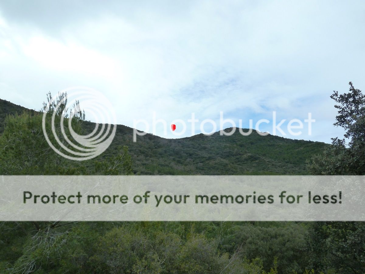 Photo Sharing and Video Hosting at Photobucket