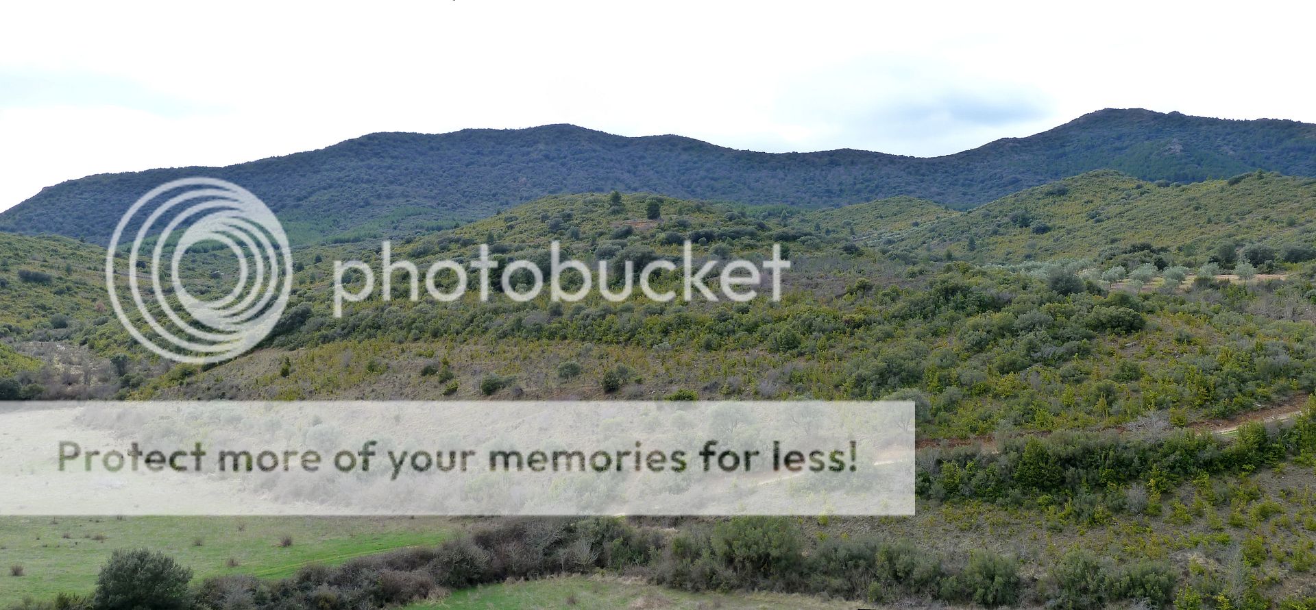 Photo Sharing and Video Hosting at Photobucket