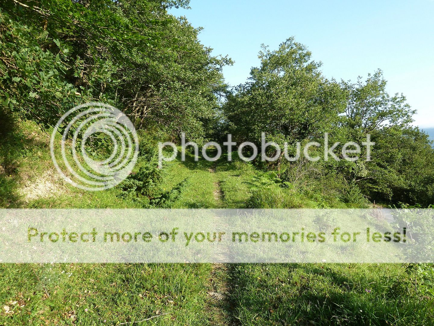 Photo Sharing and Video Hosting at Photobucket