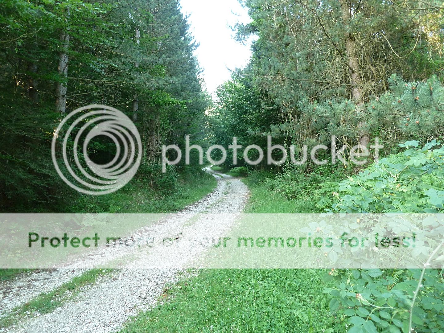 Photo Sharing and Video Hosting at Photobucket
