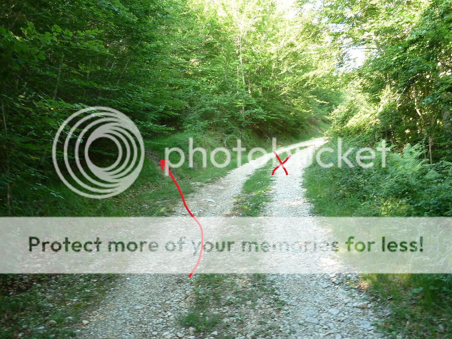 Photo Sharing and Video Hosting at Photobucket