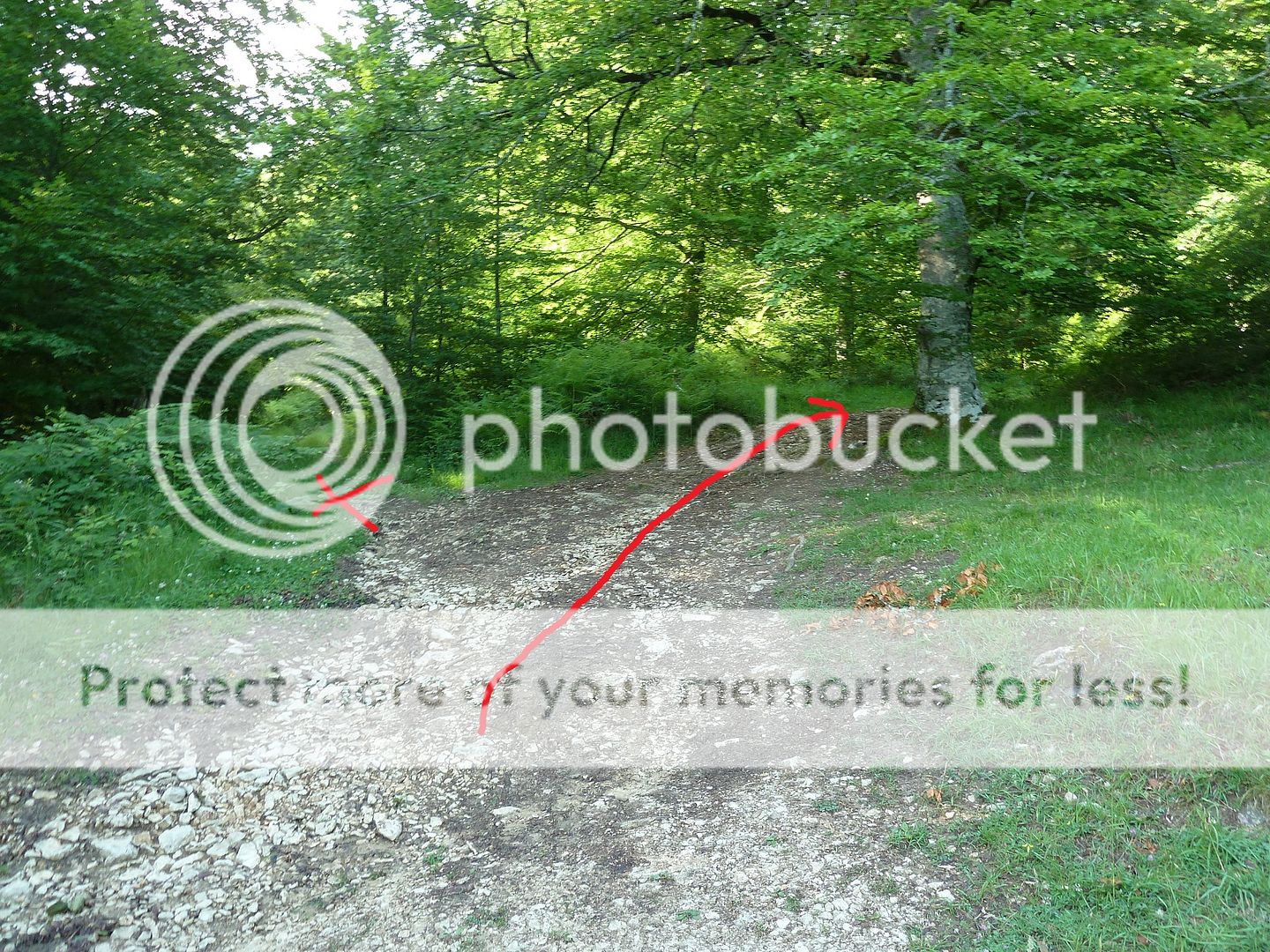 Photo Sharing and Video Hosting at Photobucket