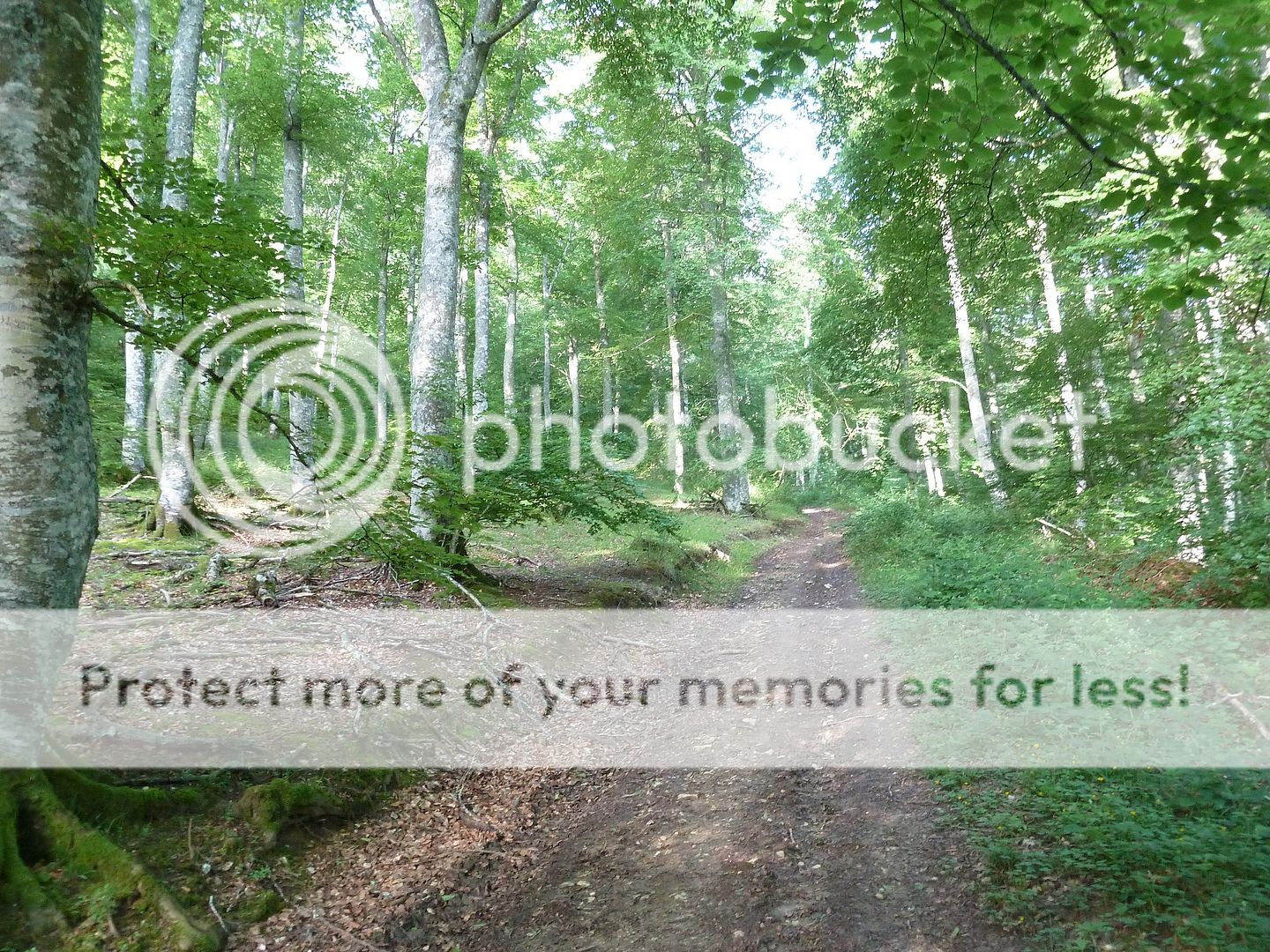 Photo Sharing and Video Hosting at Photobucket