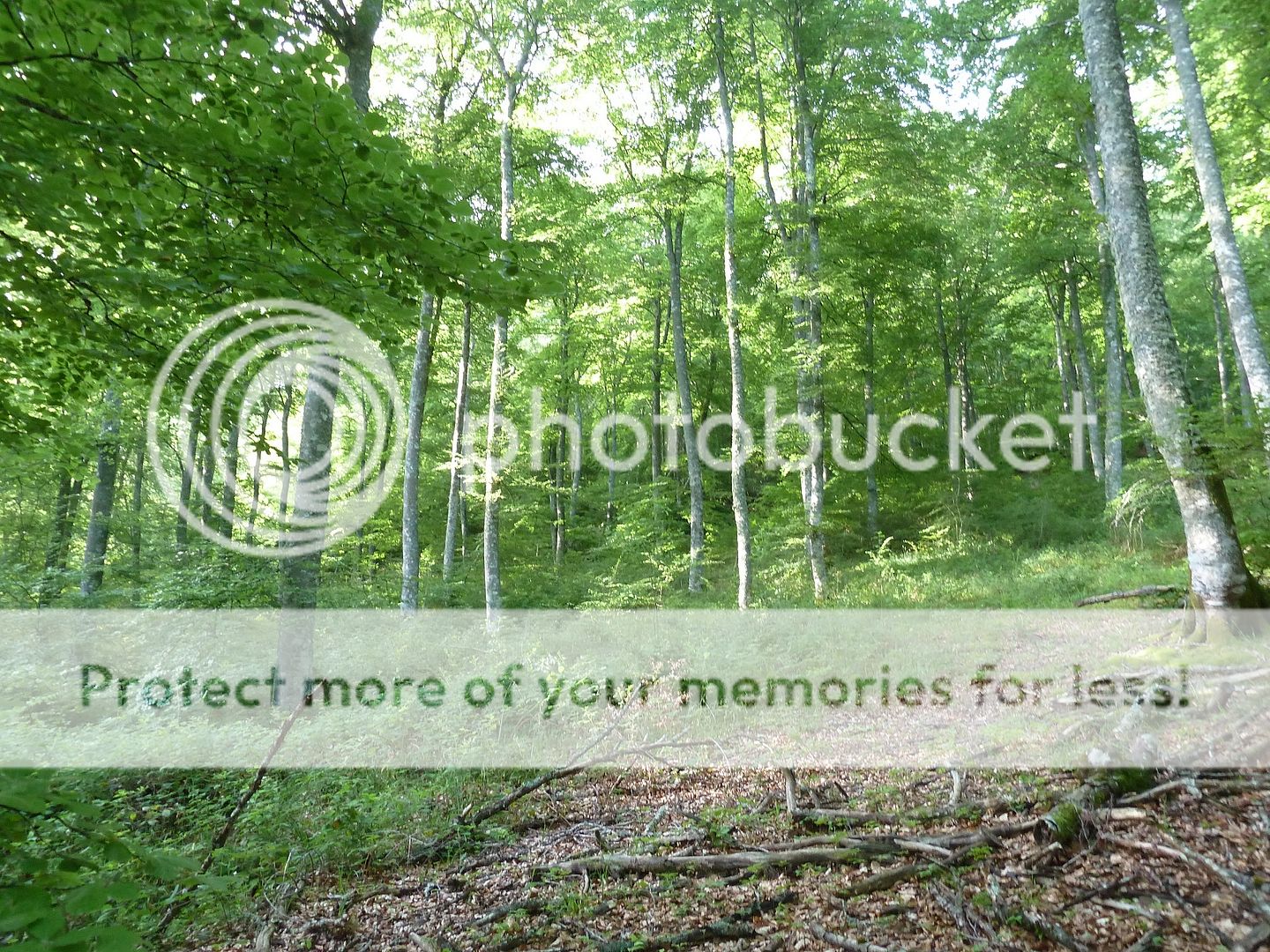 Photo Sharing and Video Hosting at Photobucket