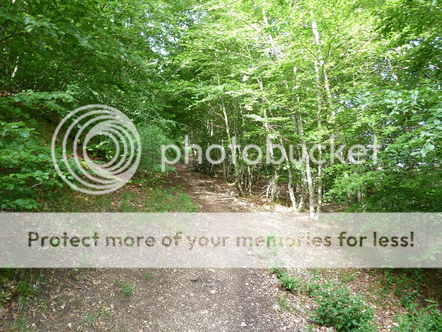 Photo Sharing and Video Hosting at Photobucket