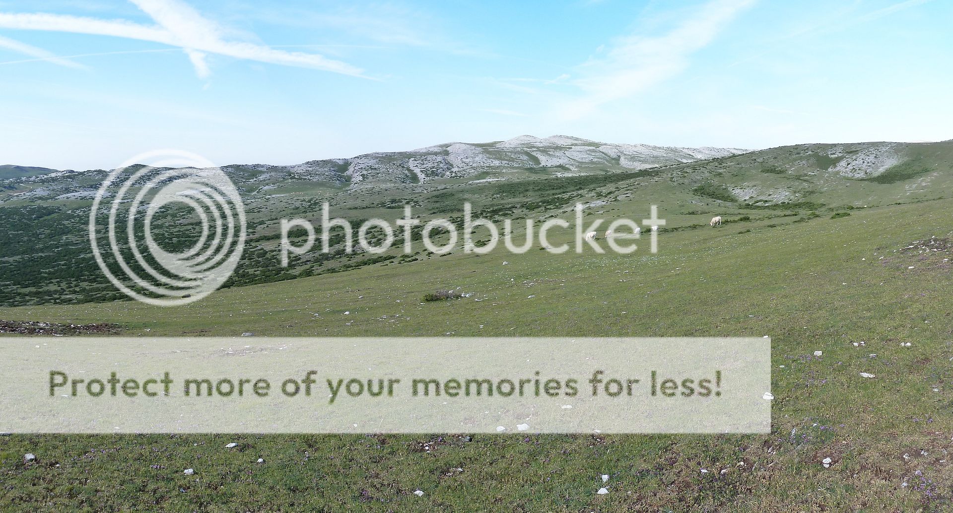 Photo Sharing and Video Hosting at Photobucket