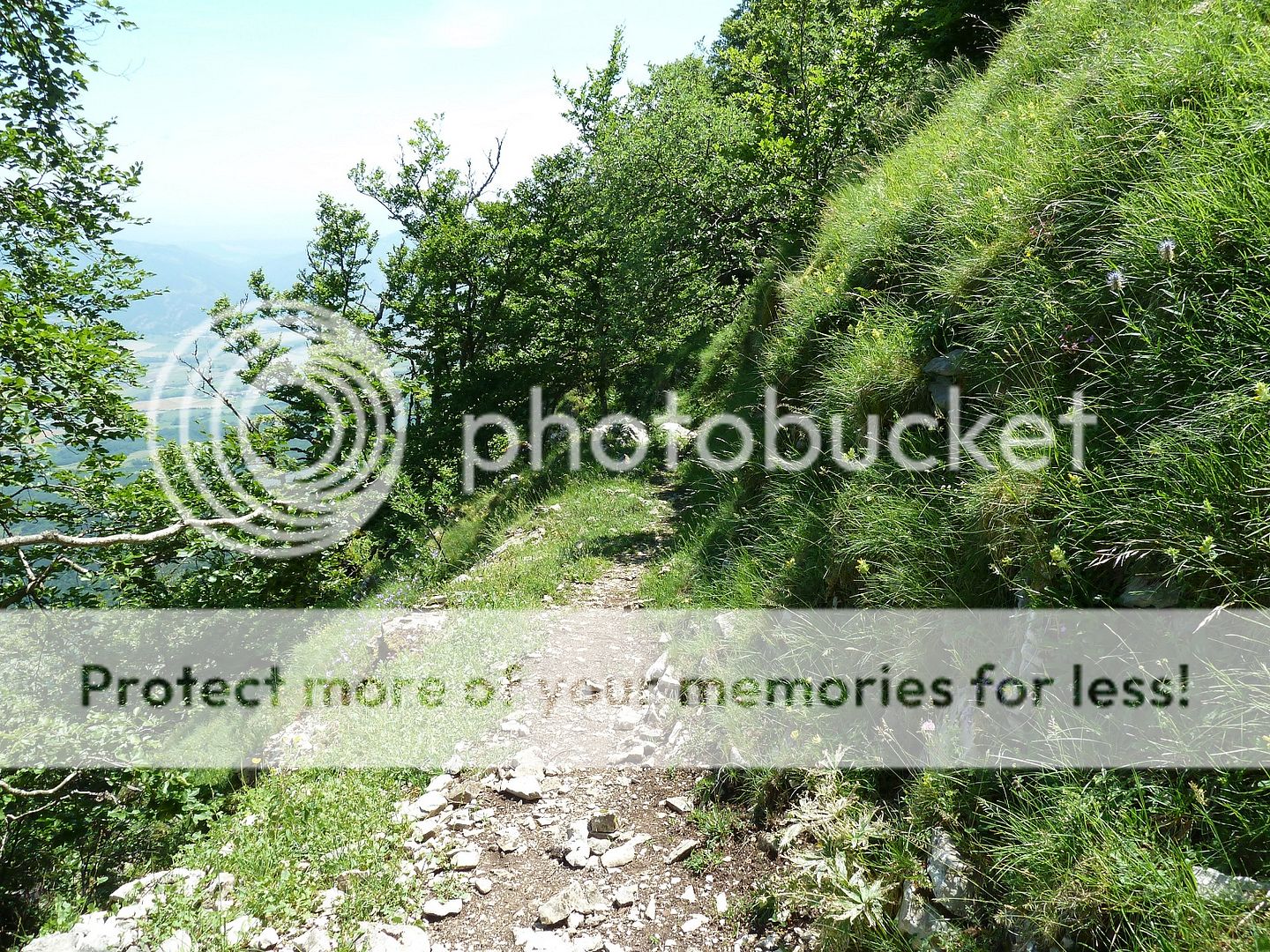 Photo Sharing and Video Hosting at Photobucket