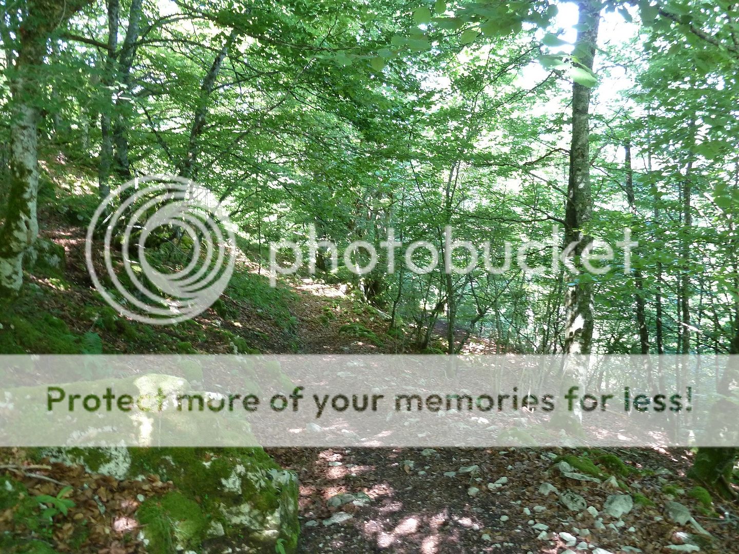 Photo Sharing and Video Hosting at Photobucket