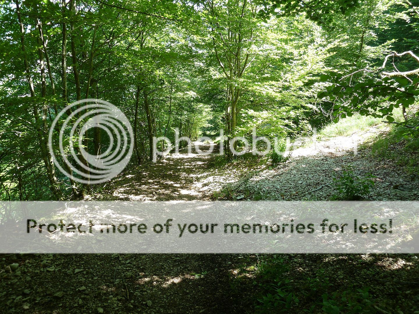 Photo Sharing and Video Hosting at Photobucket