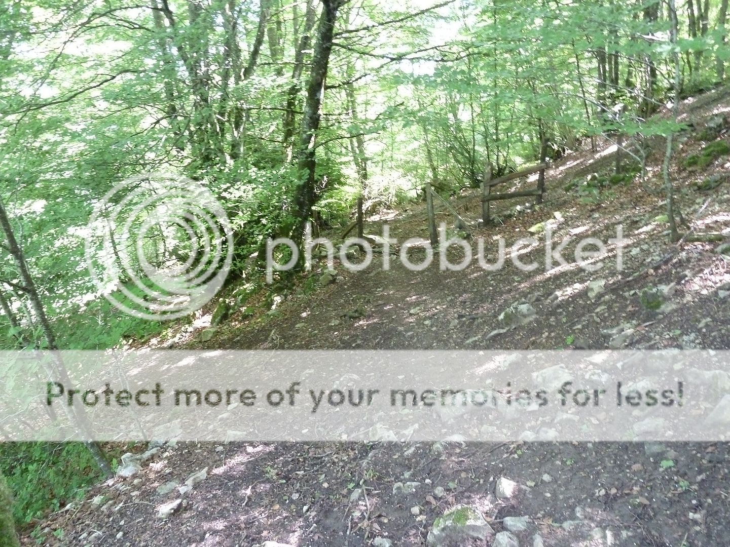 Photo Sharing and Video Hosting at Photobucket