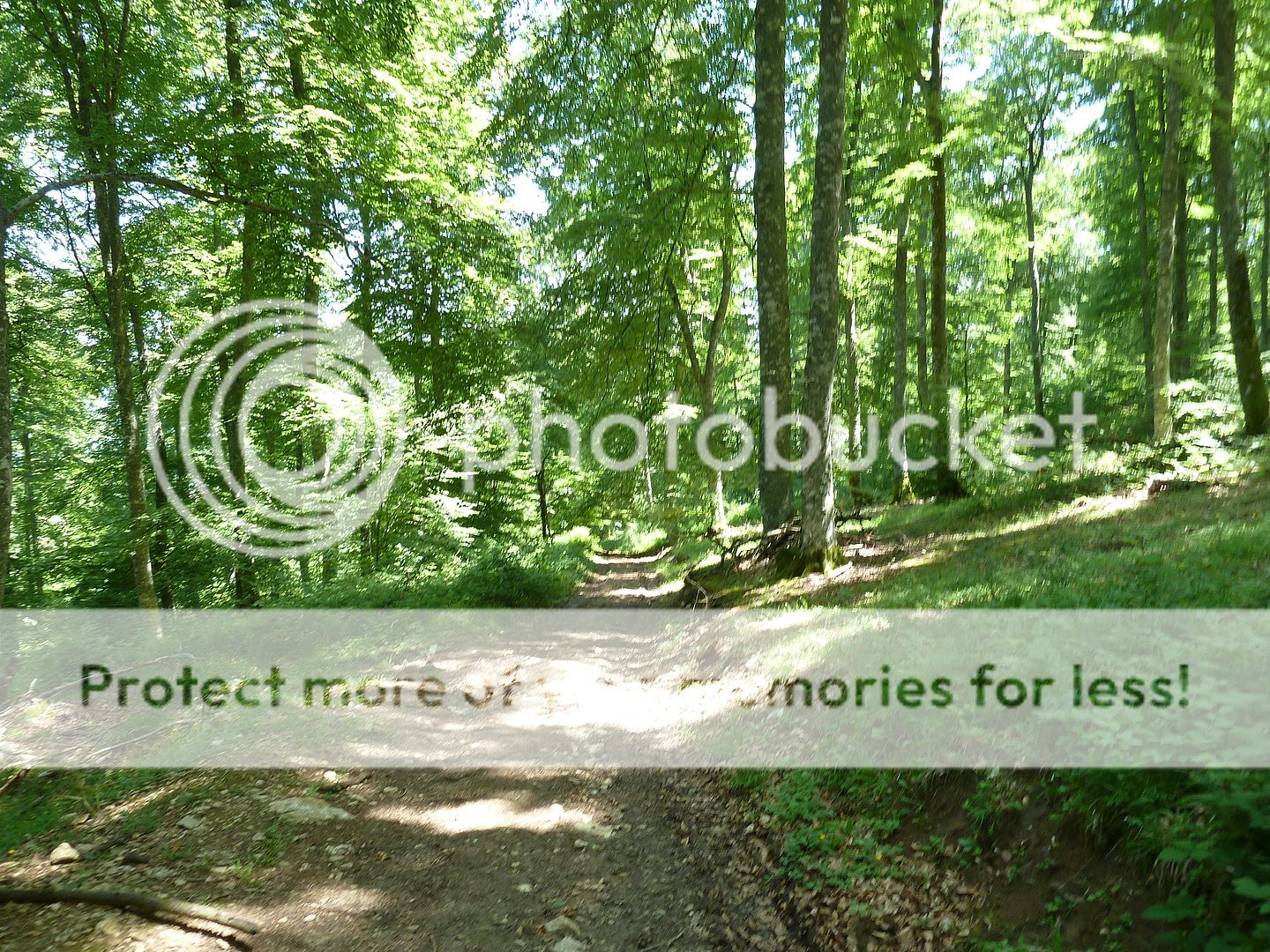 Photo Sharing and Video Hosting at Photobucket