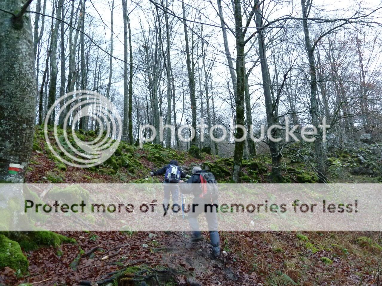 Photo Sharing and Video Hosting at Photobucket