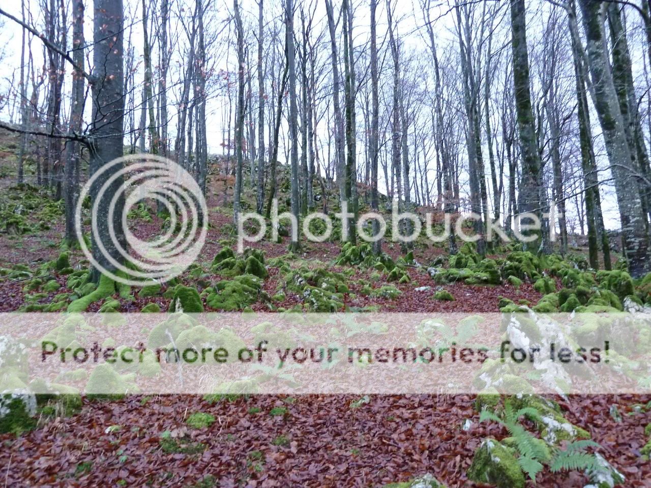 Photo Sharing and Video Hosting at Photobucket