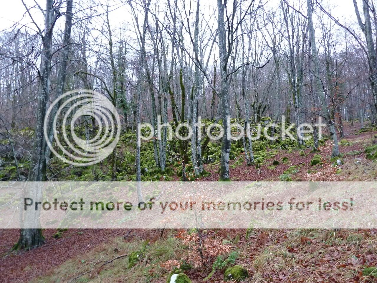 Photo Sharing and Video Hosting at Photobucket