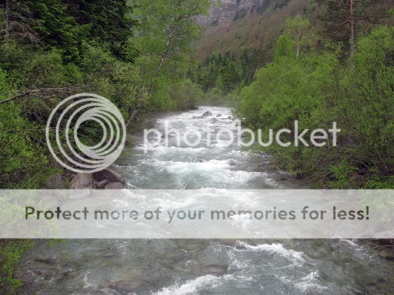 Photo Sharing and Video Hosting at Photobucket