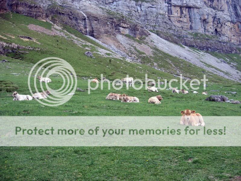Photo Sharing and Video Hosting at Photobucket