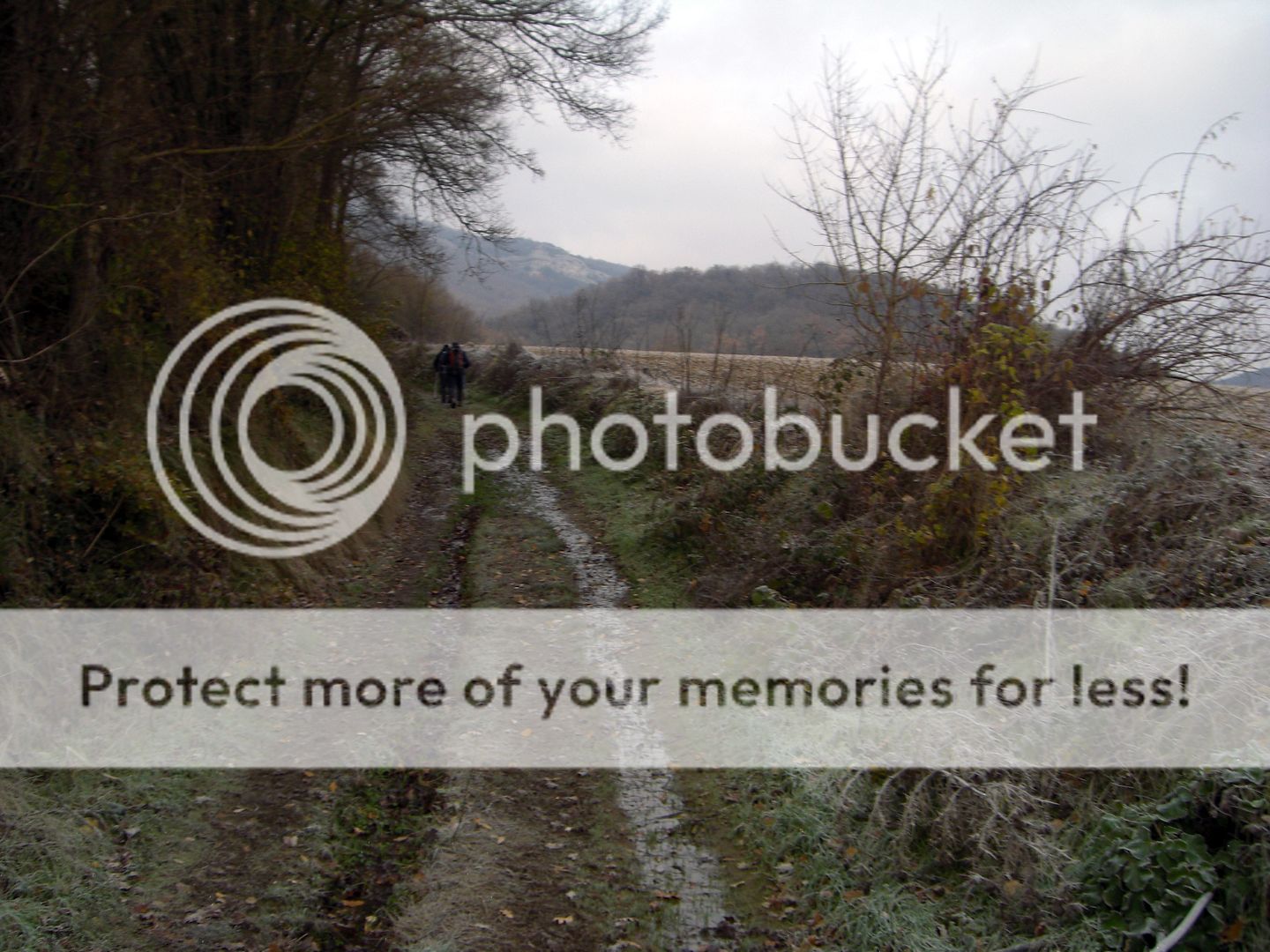 Photo Sharing and Video Hosting at Photobucket