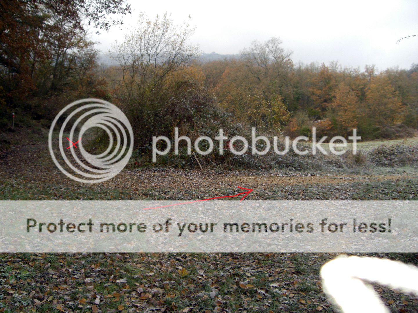 Photo Sharing and Video Hosting at Photobucket