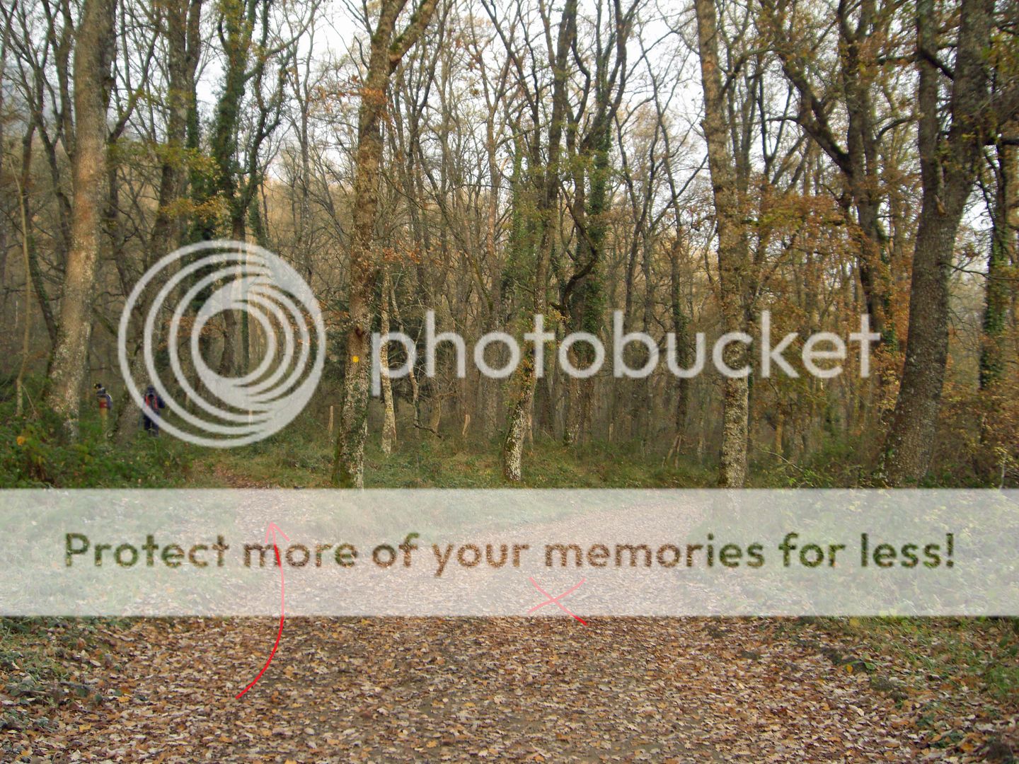 Photo Sharing and Video Hosting at Photobucket