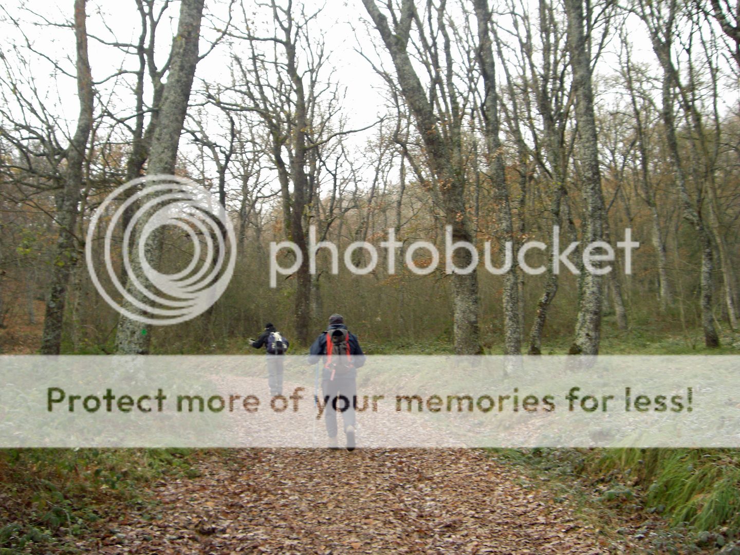 Photo Sharing and Video Hosting at Photobucket