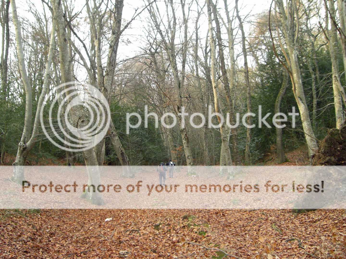 Photo Sharing and Video Hosting at Photobucket