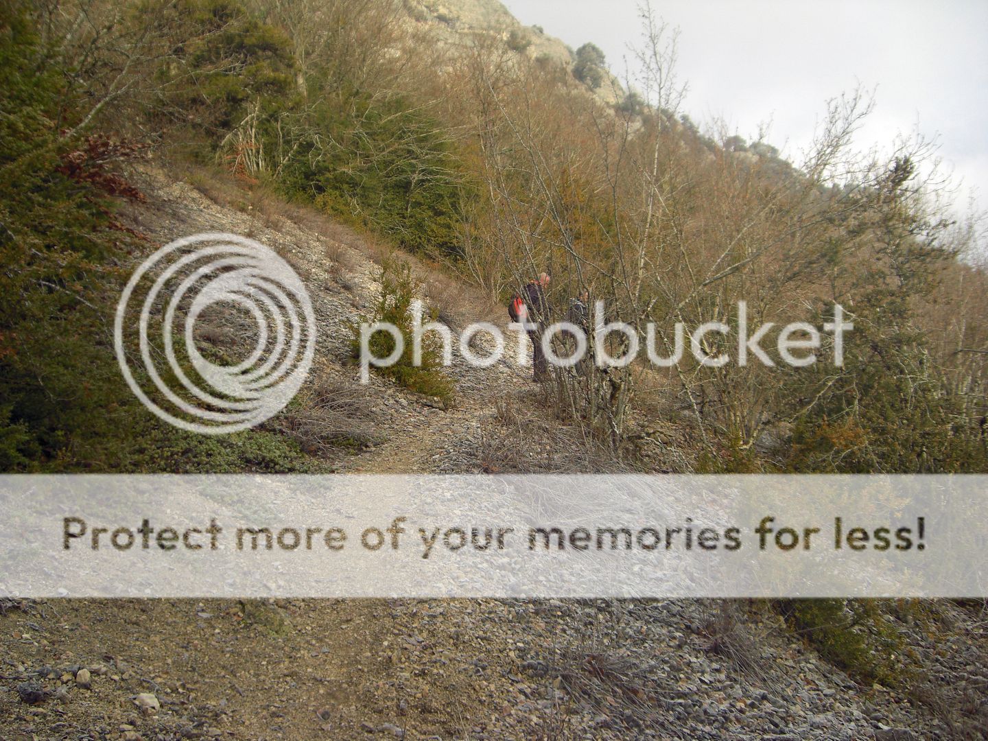 Photo Sharing and Video Hosting at Photobucket