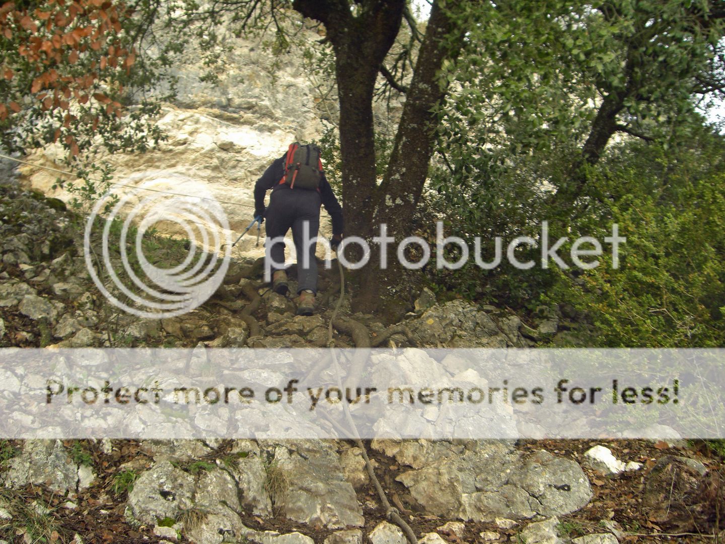 Photo Sharing and Video Hosting at Photobucket