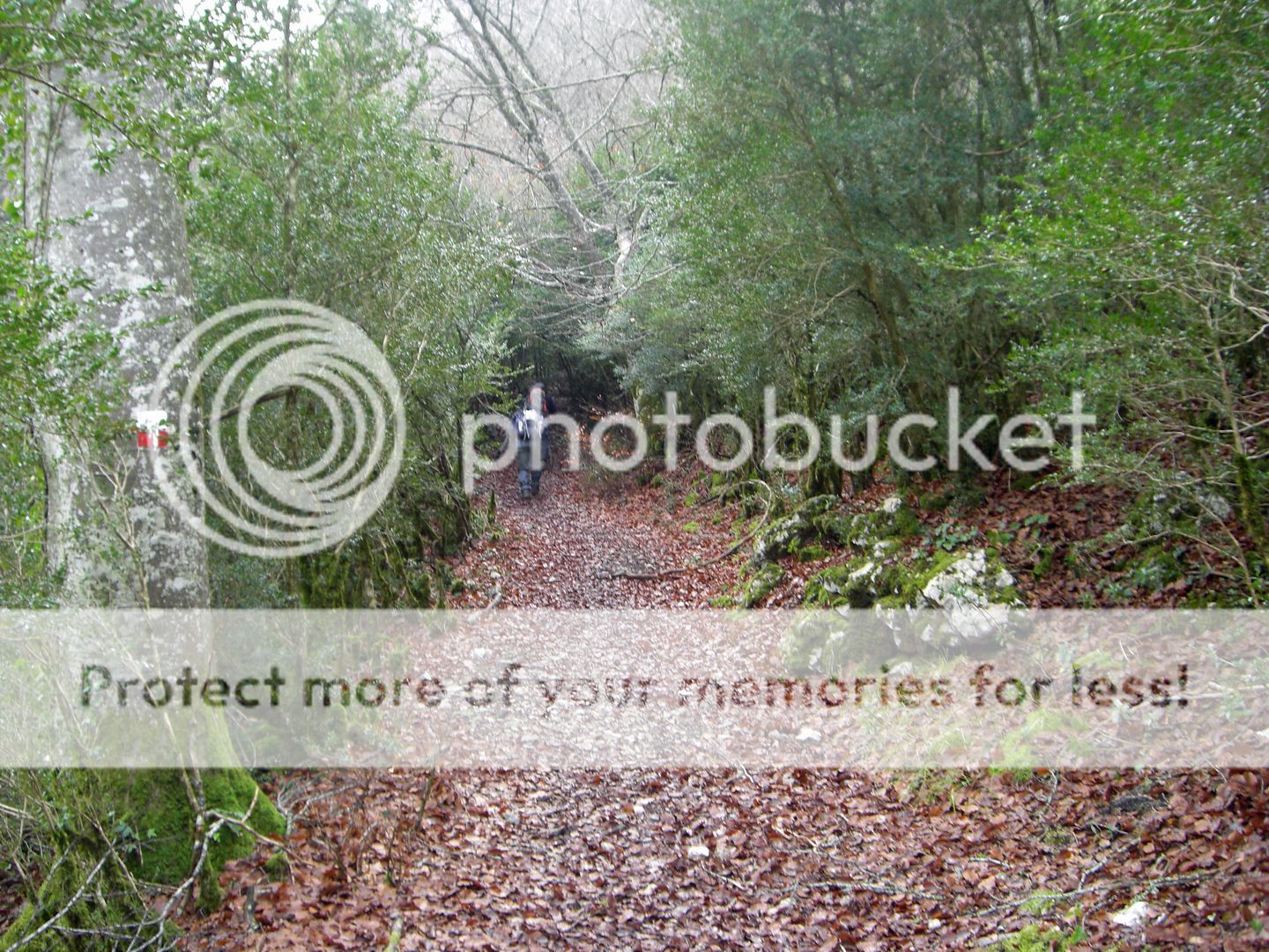 Photo Sharing and Video Hosting at Photobucket