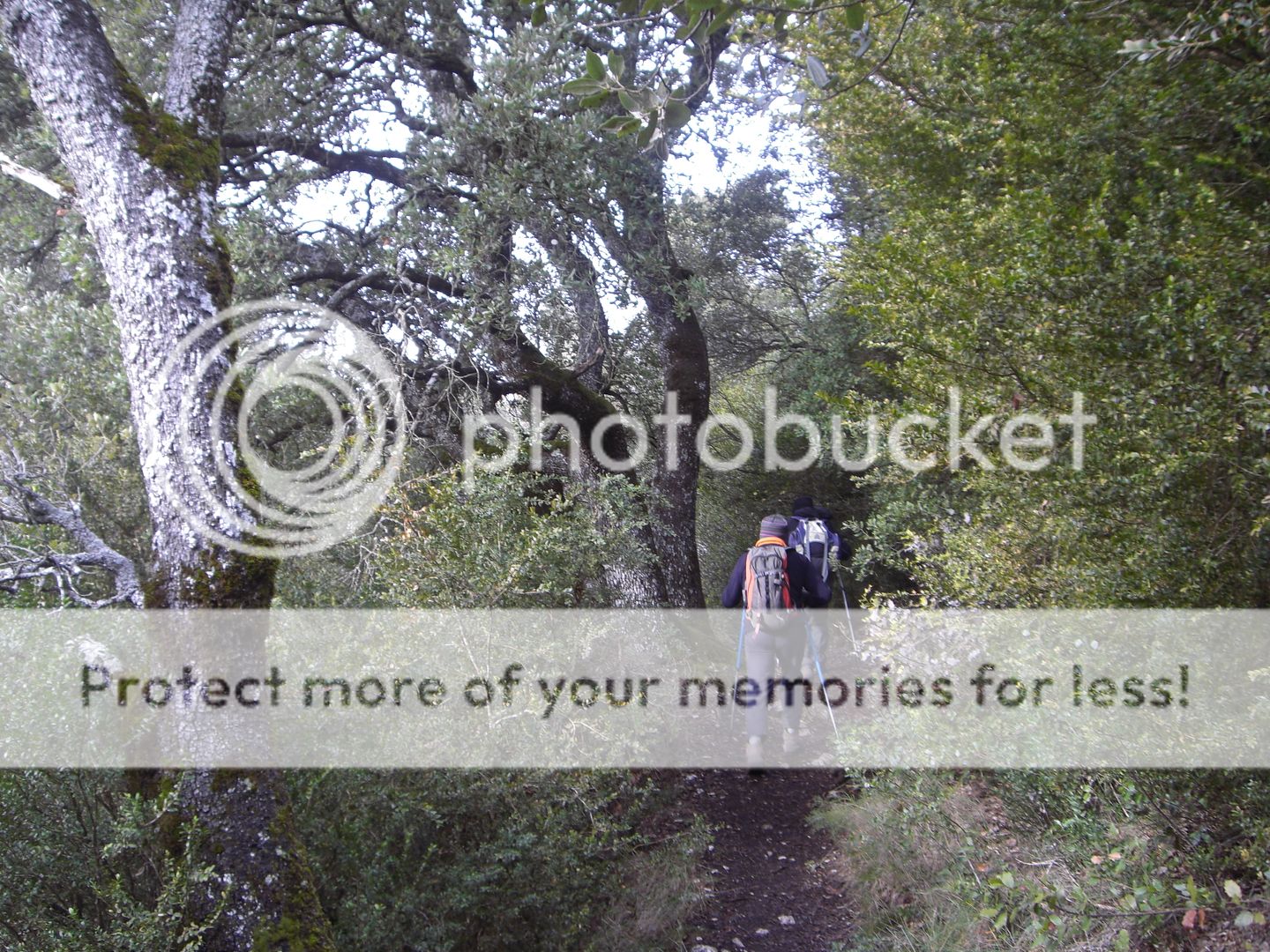 Photo Sharing and Video Hosting at Photobucket