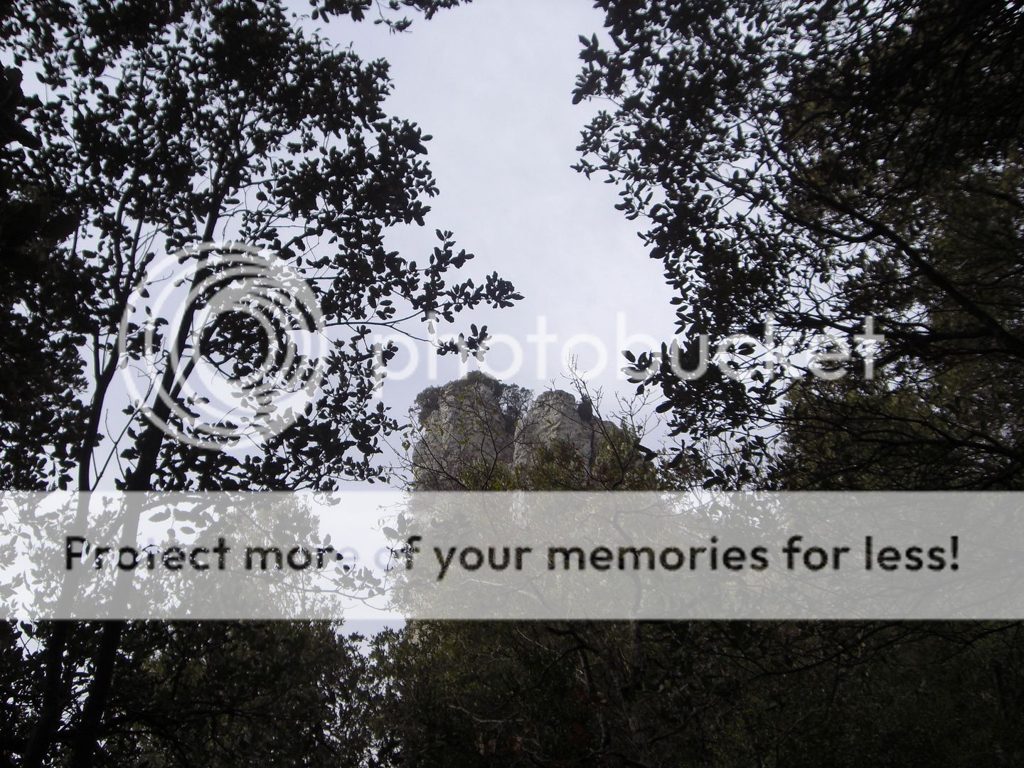Photo Sharing and Video Hosting at Photobucket