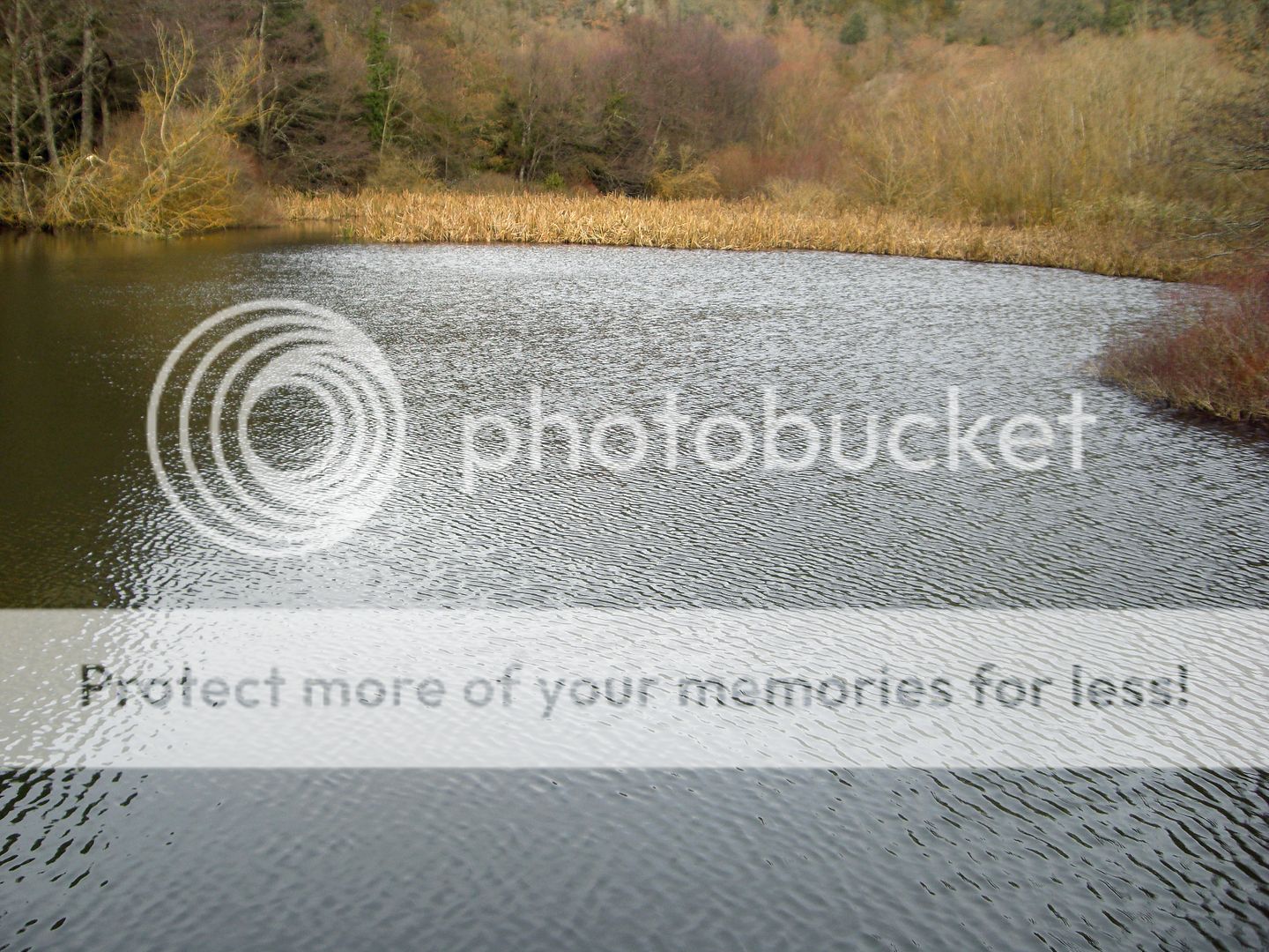 Photo Sharing and Video Hosting at Photobucket