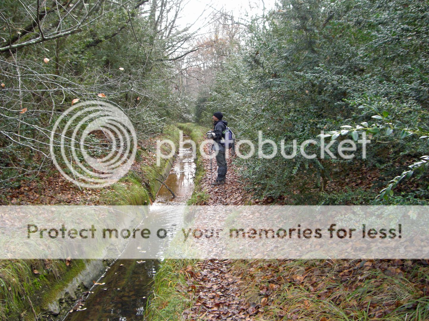 Photo Sharing and Video Hosting at Photobucket