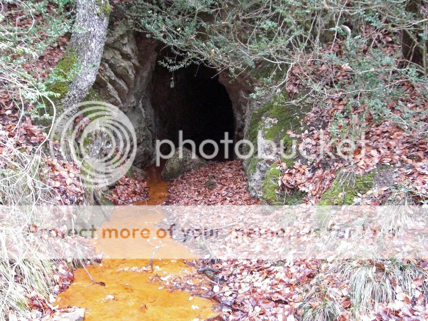 Photo Sharing and Video Hosting at Photobucket