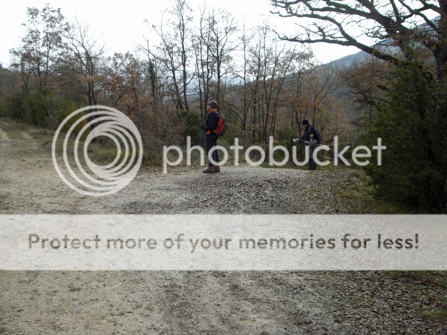 Photo Sharing and Video Hosting at Photobucket