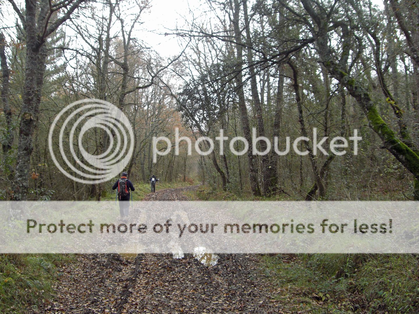 Photo Sharing and Video Hosting at Photobucket