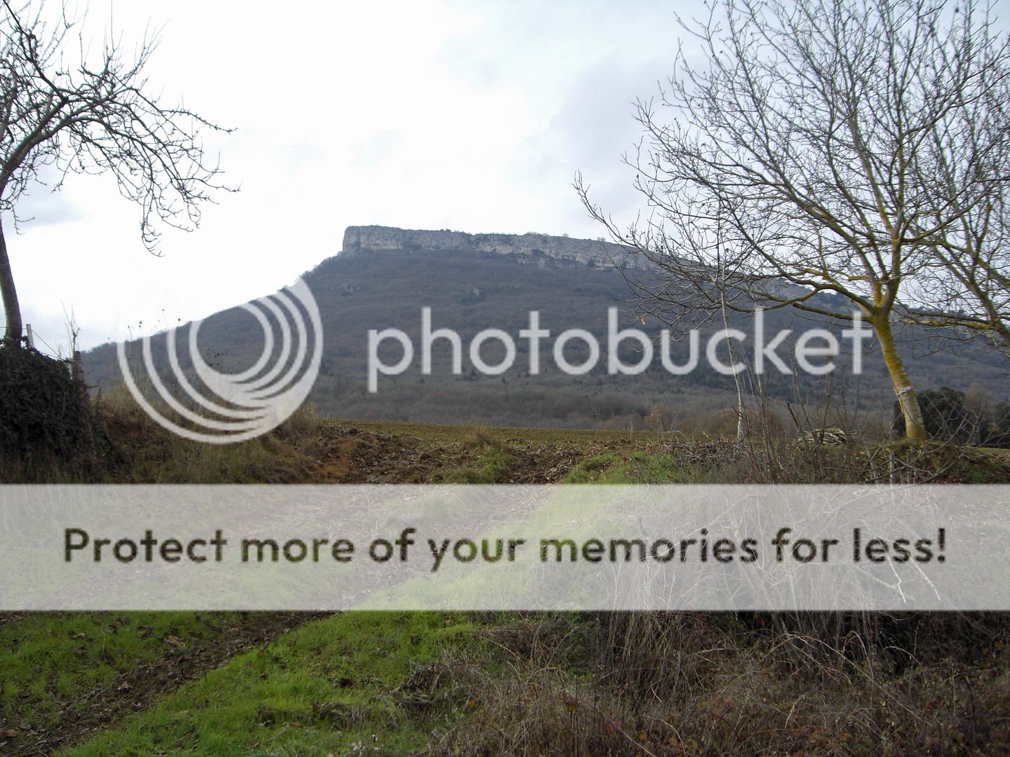 Photo Sharing and Video Hosting at Photobucket