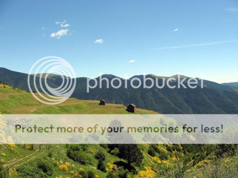 Photo Sharing and Video Hosting at Photobucket