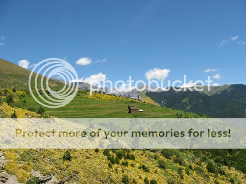 Photo Sharing and Video Hosting at Photobucket