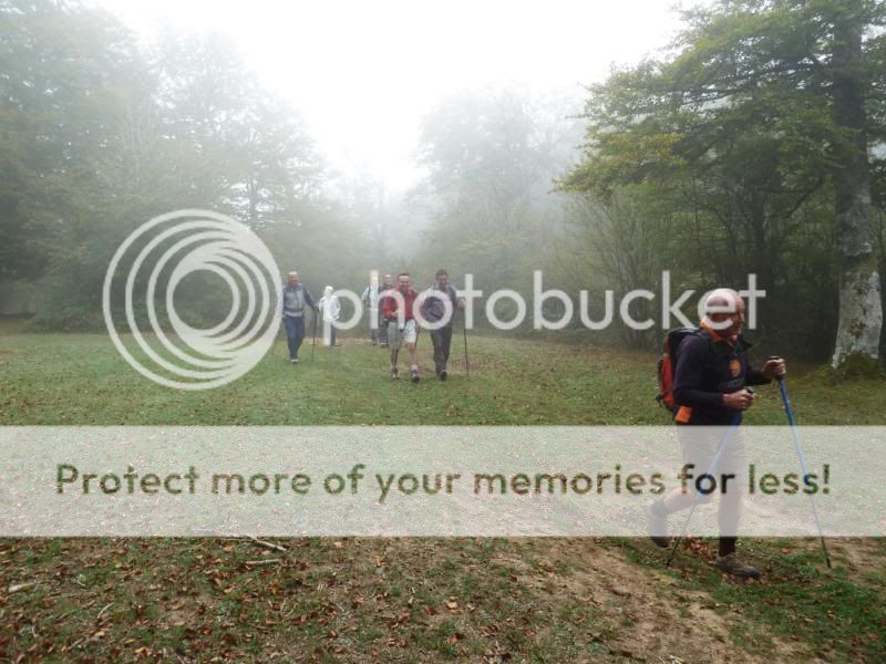 Photo Sharing and otobucVideo Hosting at Phket