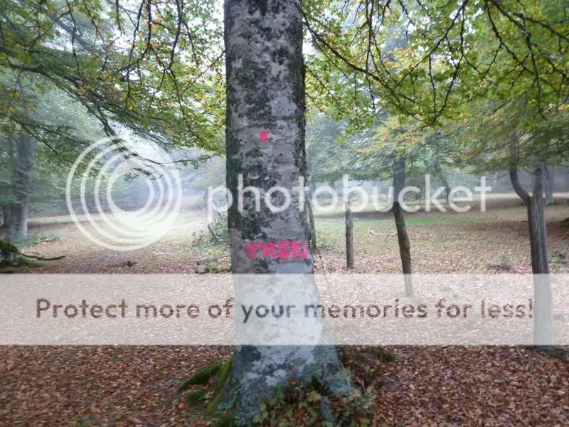 Photo Sharing and otobucVideo Hosting at Phket