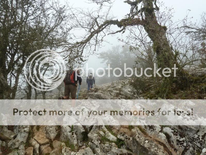 Photo Sharing and otobucVideo Hosting at Phket