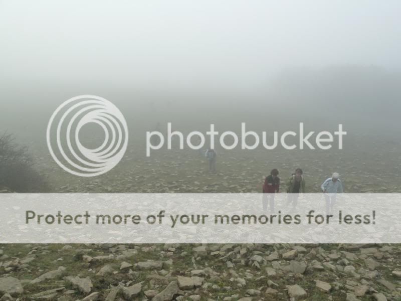 Photo Sharing and otobucVideo Hosting at Phket