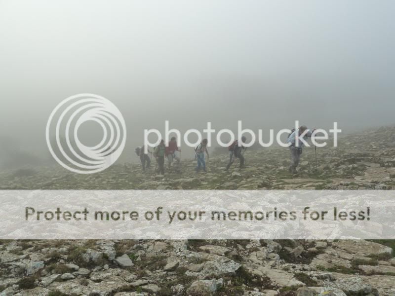 Photo Sharing and otobucVideo Hosting at Phket