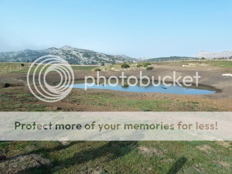 Photo Sharing and otobucVideo Hosting at Phket