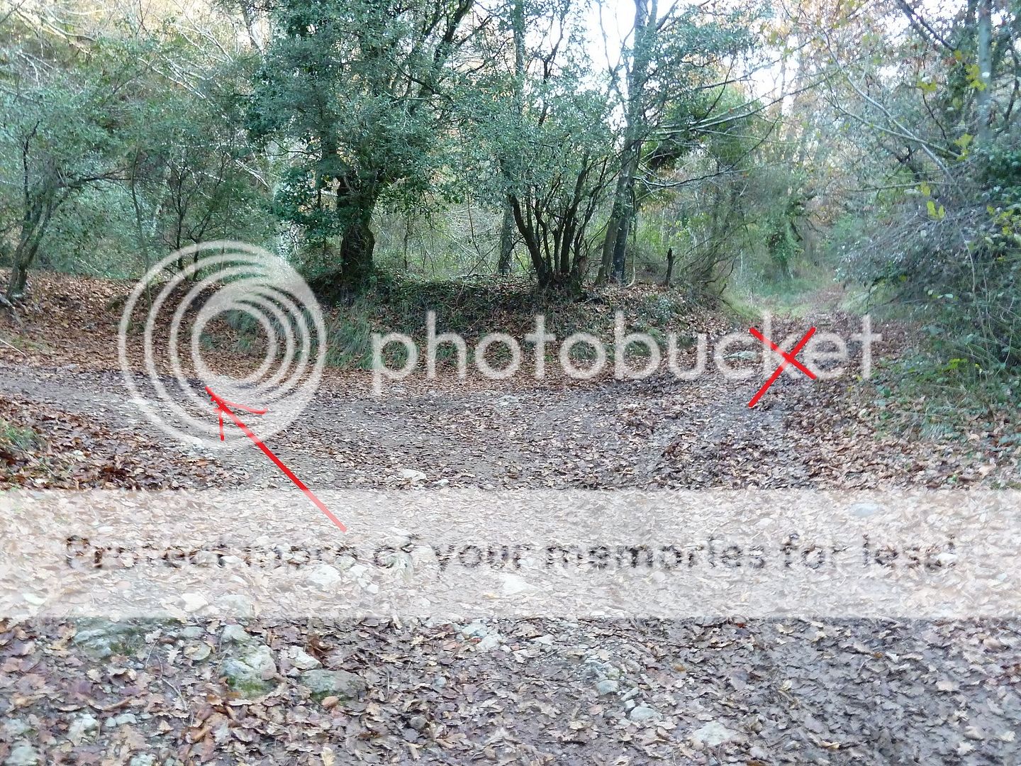 Photo Sharing and Video Hosting at Photobucket