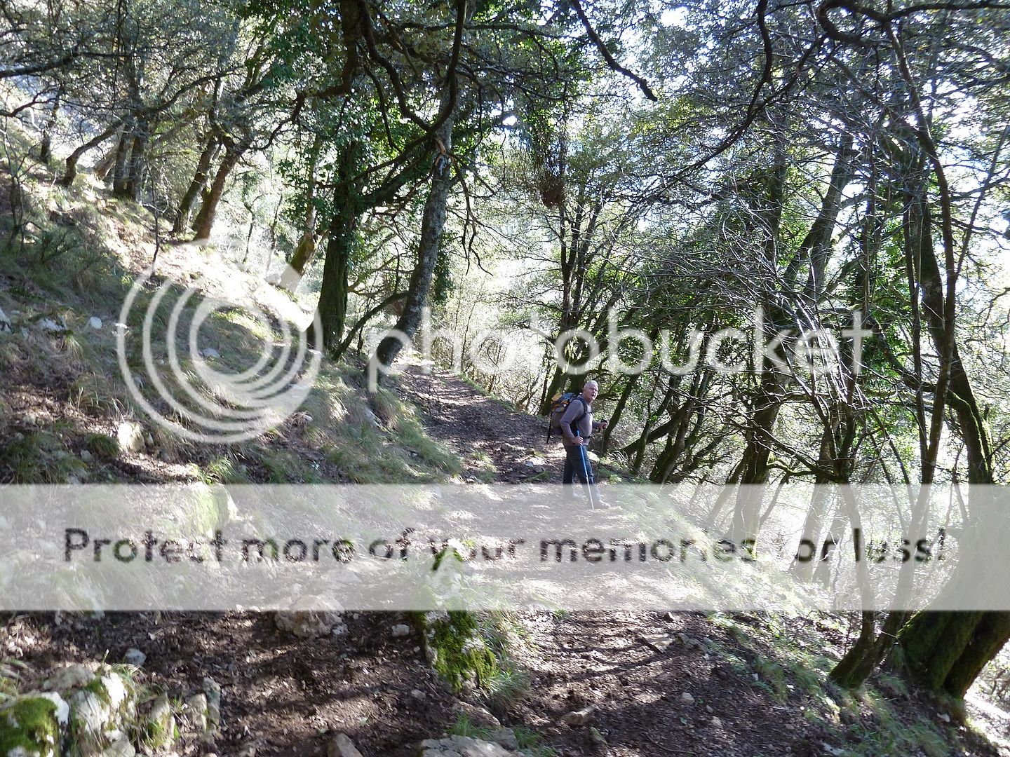 Photo Sharing and Video Hosting at Photobucket