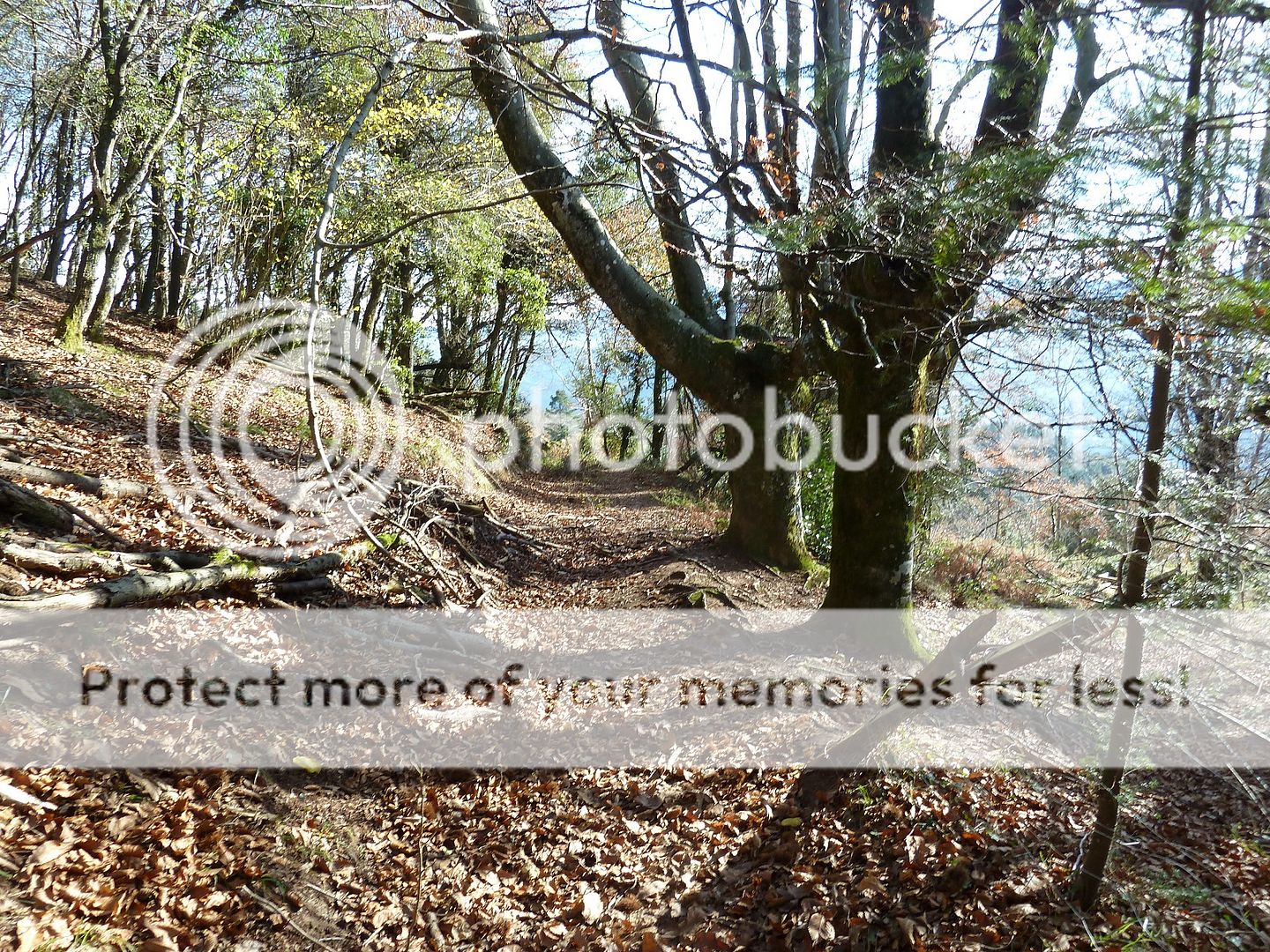 Photo Sharing and Video Hosting at Photobucket