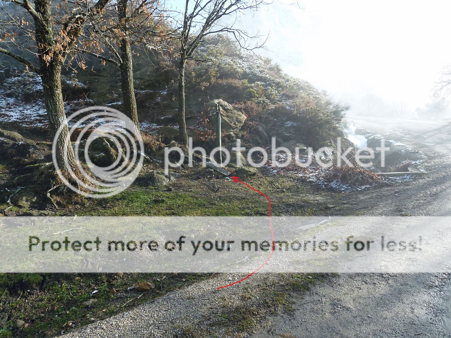 Photo Sharing and Video Hosting at Photobucket
